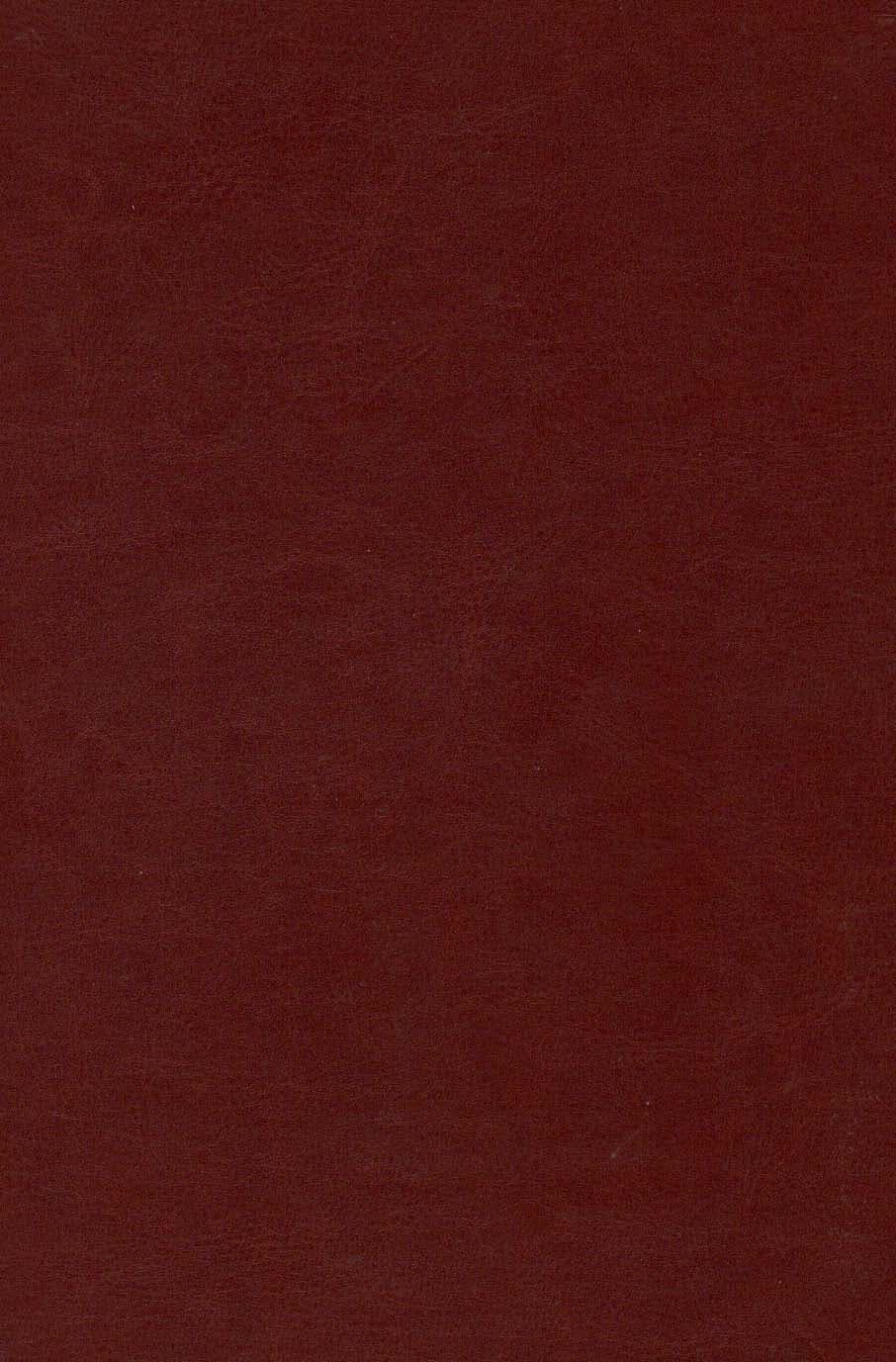 قرآن کریم (چرم)