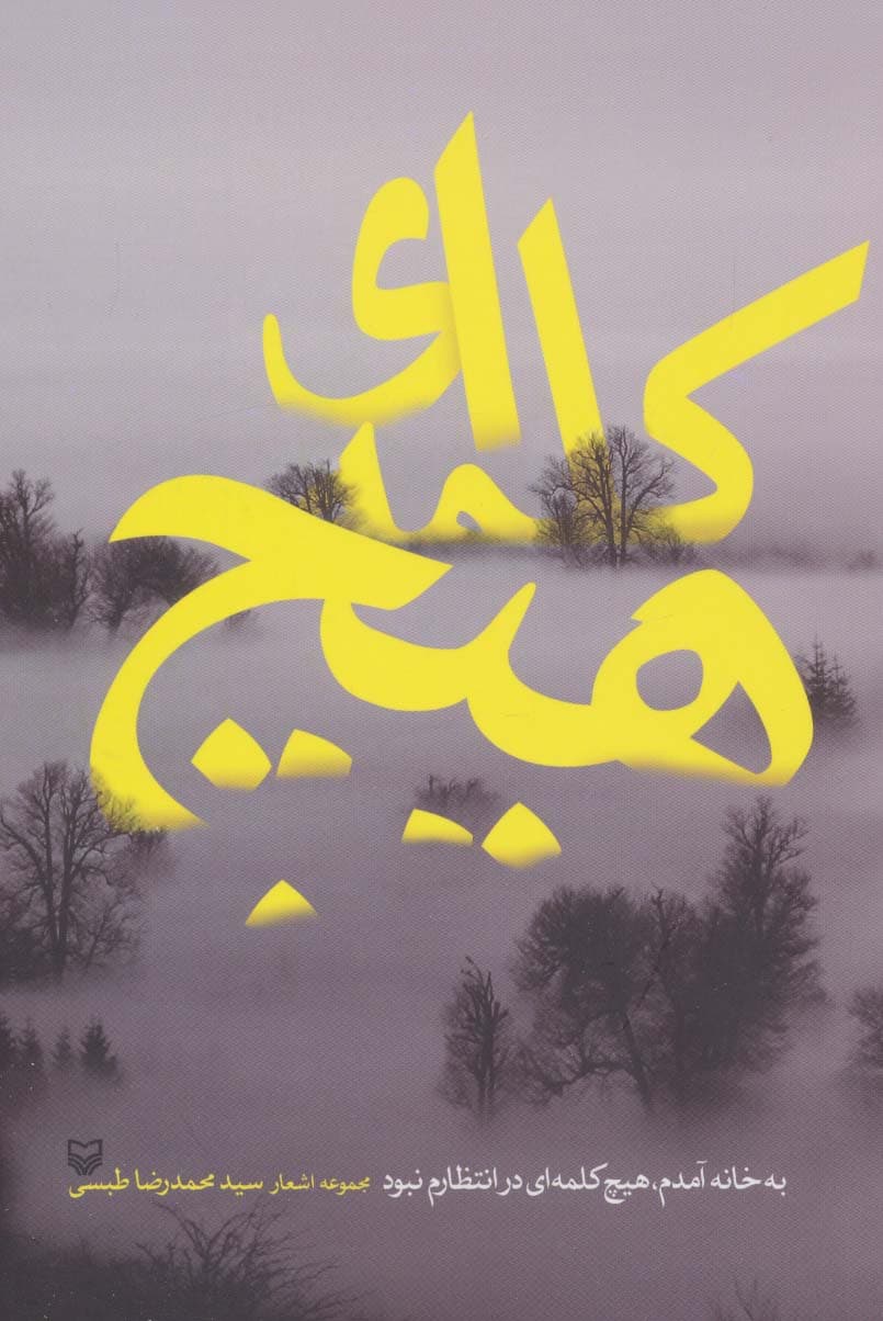 به خانه آمدم،هیچ کلمه ای در انتظارم نبود