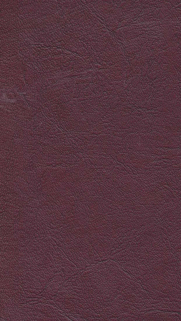 دفتر یادداشت دستیار:دفتری برای روزهای خوب (چرم)