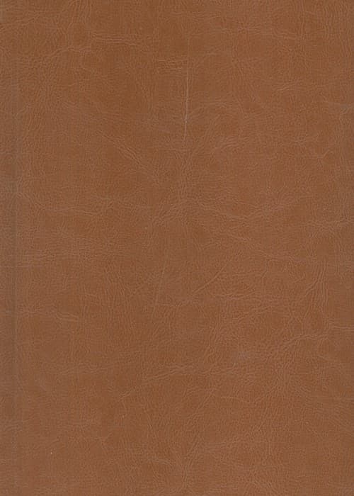 کلیات شمس تبریزی (ترمو)