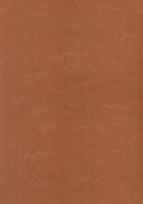 مثنوی معنوی (ترمو)