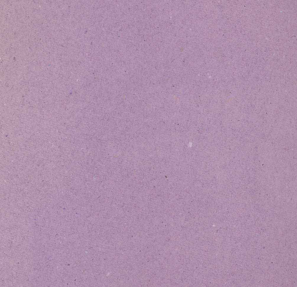 پازل باب اسفنجی