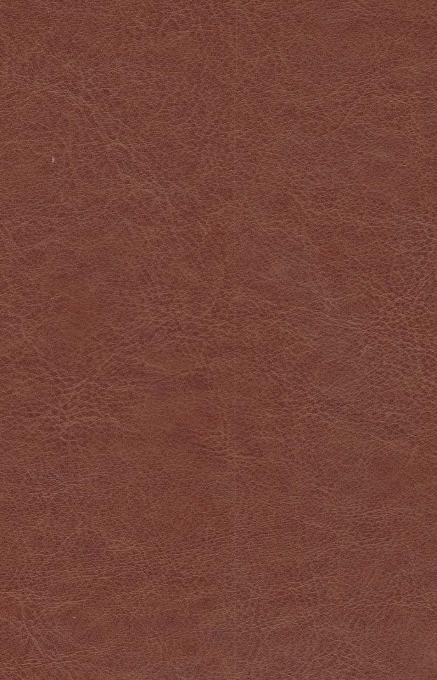 منتخب مفاتیح الجنان (چرم)