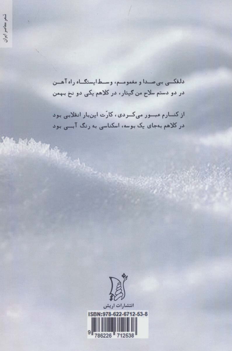 بهمن (مجموعه شعر)