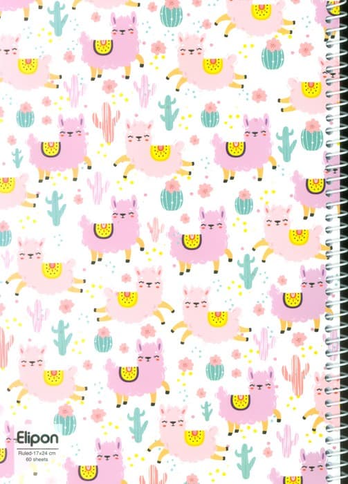 دفتر خط دار فانتزی 60 برگ (12طرح،کد 223)،(سیمی)