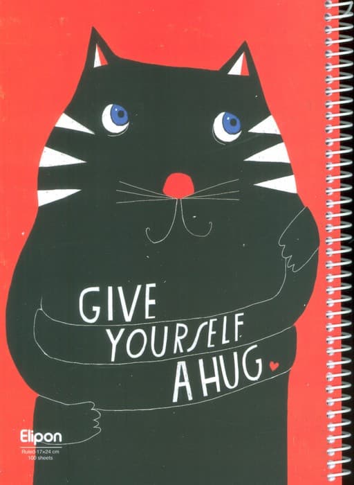 دفتر خط دار فانتزی 100 برگ (12طرح،کد 239)،(سیمی)