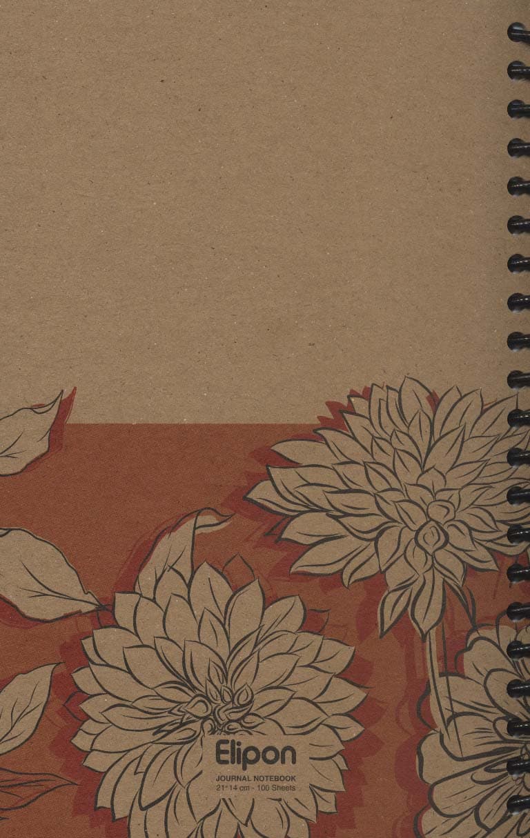 دفتر بی خط فانتزی 100 برگ (2طرح،کد 294)،(سیمی)