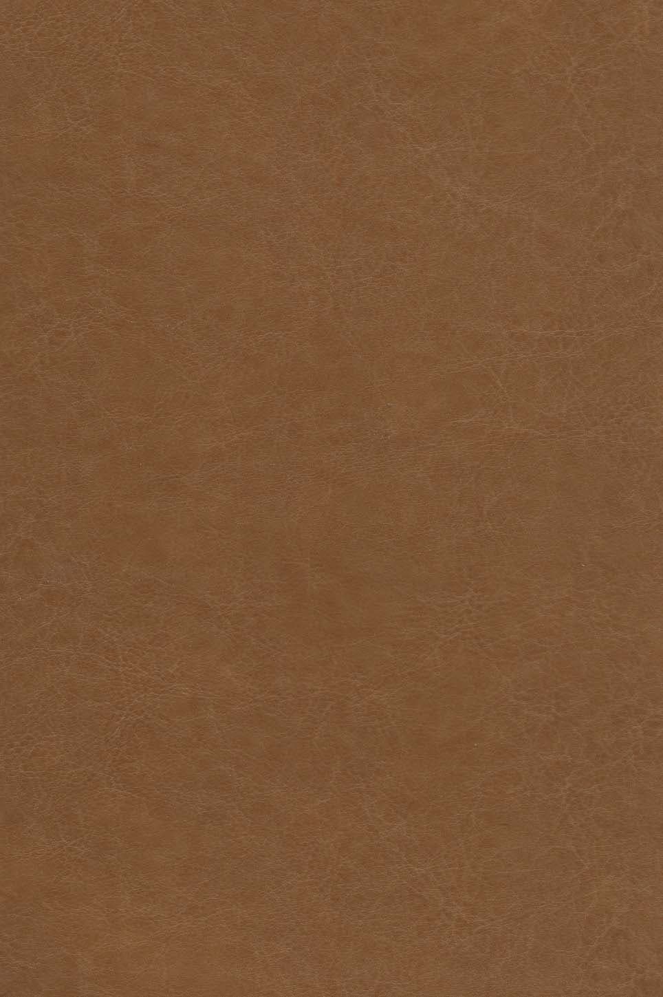 کلیات مثنوی معنوی (باقاب،چرم)