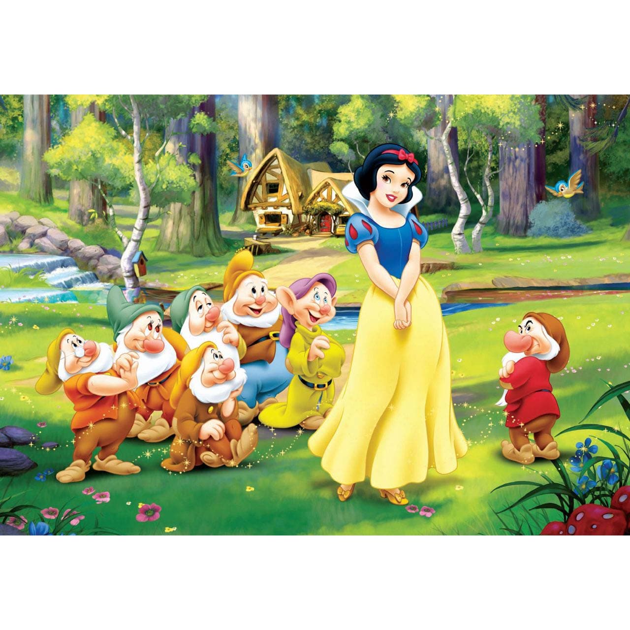 بسته پازل سفید برفی (48تکه،باجعبه)