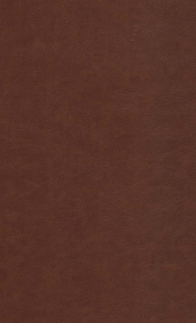 دیوان حافظ (2زبانه،چرم)