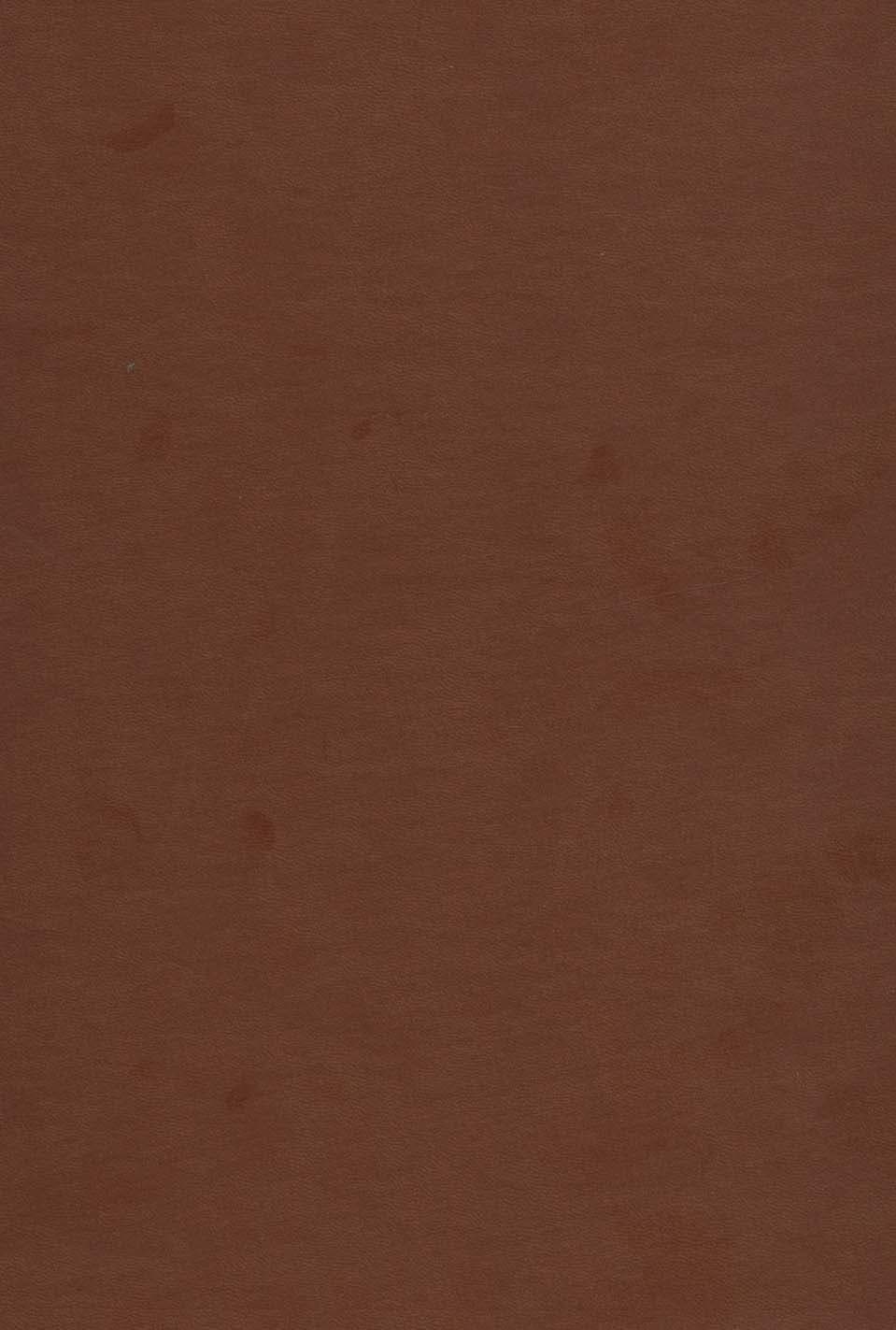 دیوان حافظ به انضمام فال (طرح مس برجسته،2طرح)،(باقاب،چرم)