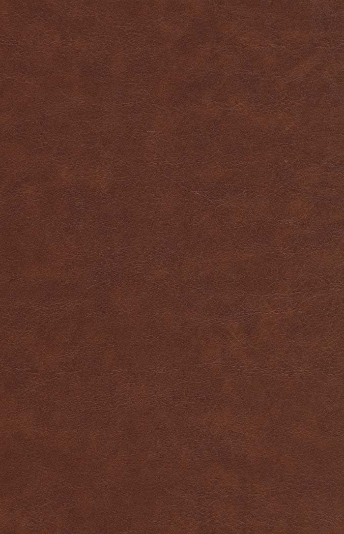 دیوان حافظ،همراه با تفسیر فال (باقاب،چرم،لیزری)