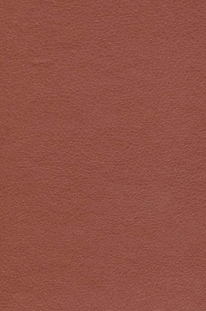 شاهنامه فردوسی (2جلدی،7رنگ،باقاب،چرم،لب طلایی)