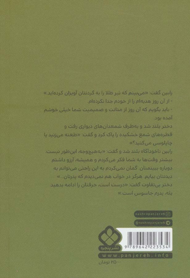 رابین هود (رمان های ماندگار جهان)