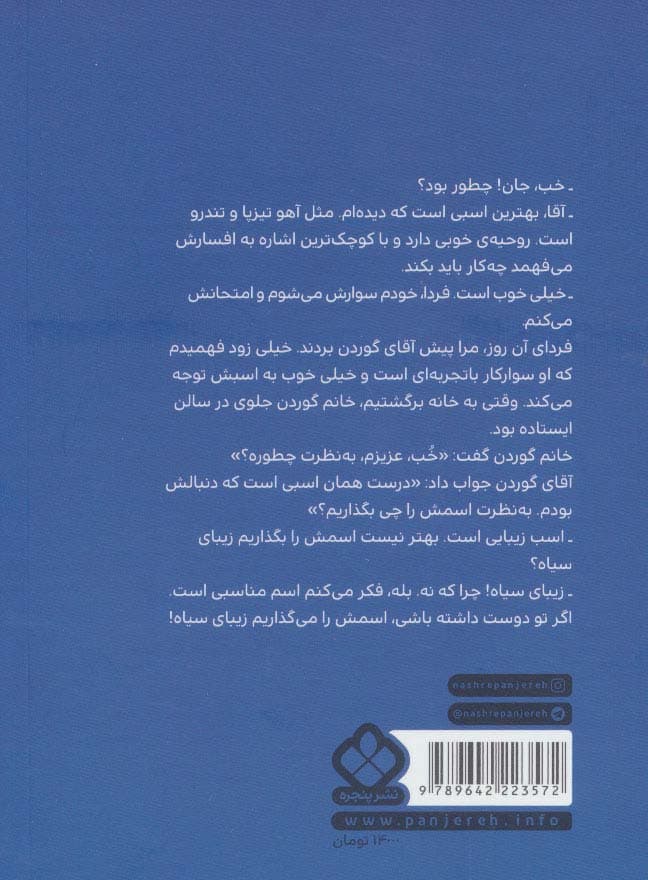 زیبای سیاه (رمان های ماندگار جهان)