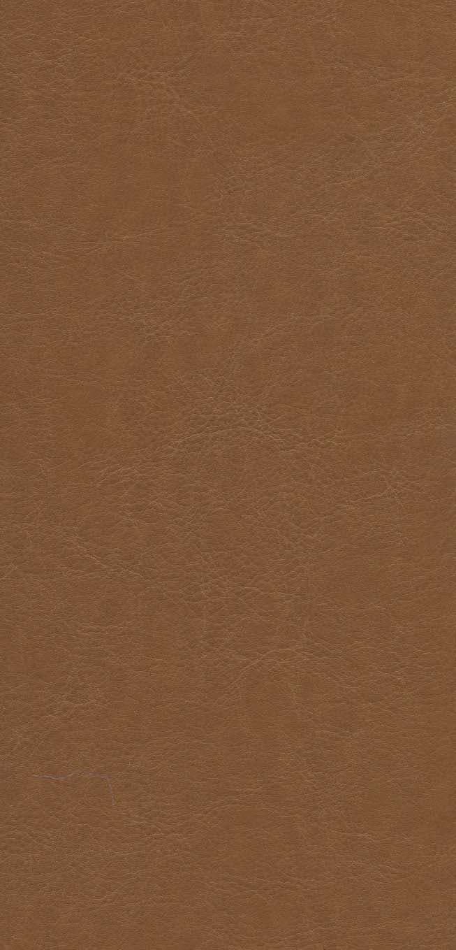 کلیات شمس تبریزی (2جلدی،باقاب،ترمو،پل دار،لیزری)