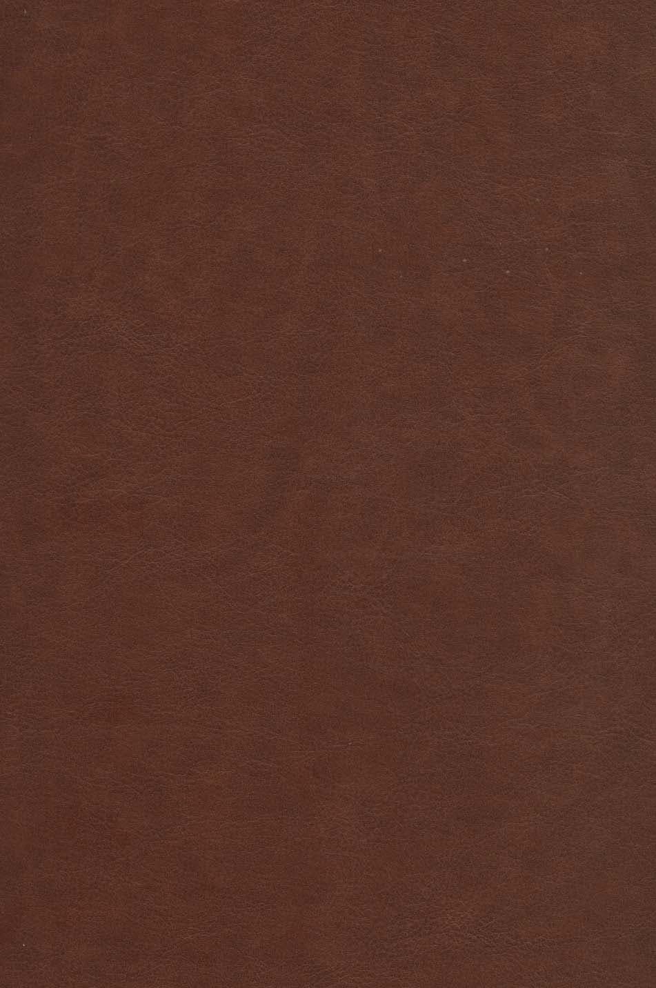 داستانهای شاهنامه فردوسی (ترمو،برجسته،باقاب)