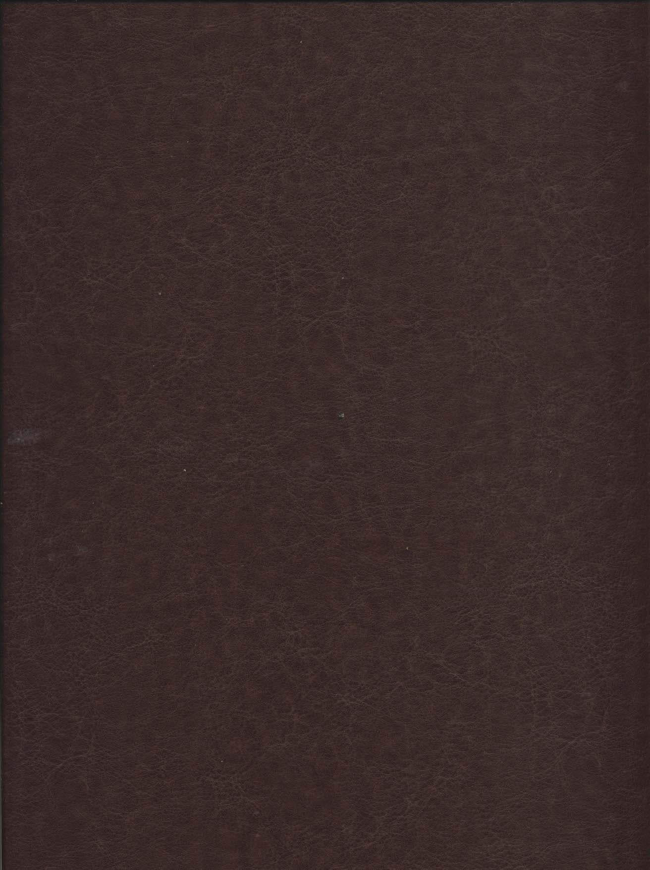 فالنامه حافظ شیرازی،همراه با متن کامل (گلاسه،ترمو،پلاکدار،برجسته،باقاب)