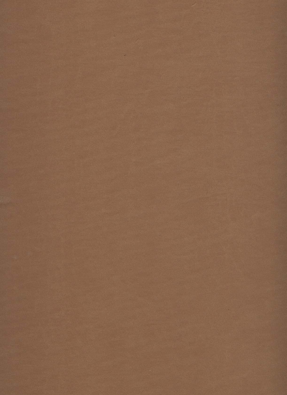 دیوان حافظ (گلاسه،ترمو،پلاک رنگی،لیزری،باقاب)