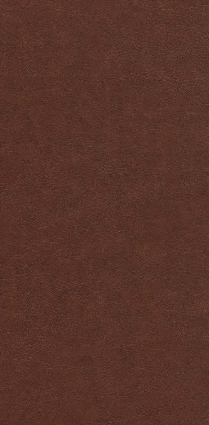 کلیات شمس تبریزی (2جلدی،چرم،پلدار،پلاک رنگی،لیزری،باقاب)