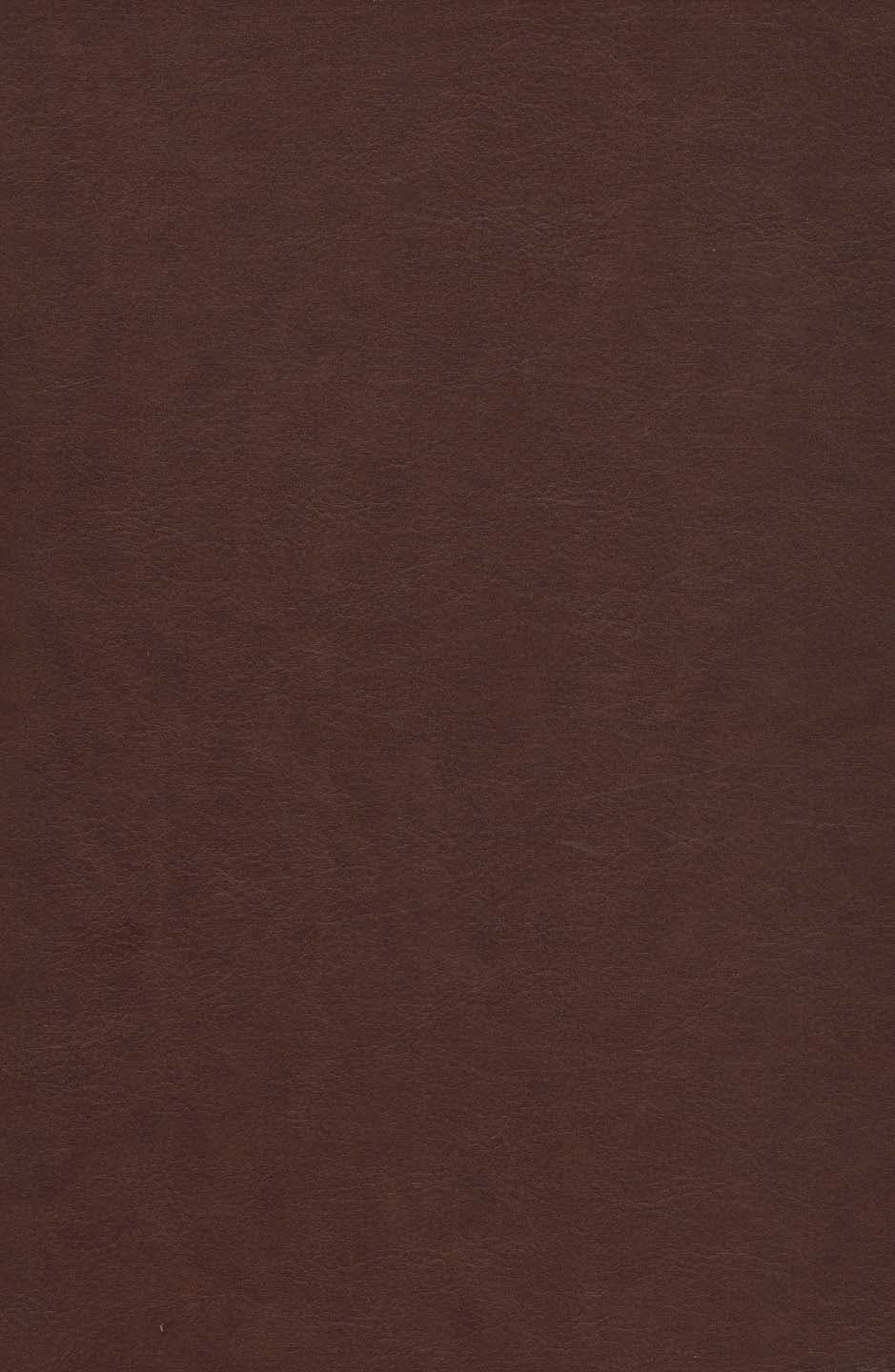 کلیات شمس تبریزی (باقاب،ترمو،لیزری،پلاک دار رنگی)