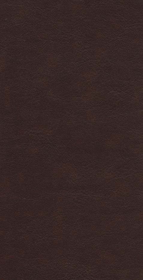 ترمو،باقاب،لب طلایی،پلاک دار،پل دار