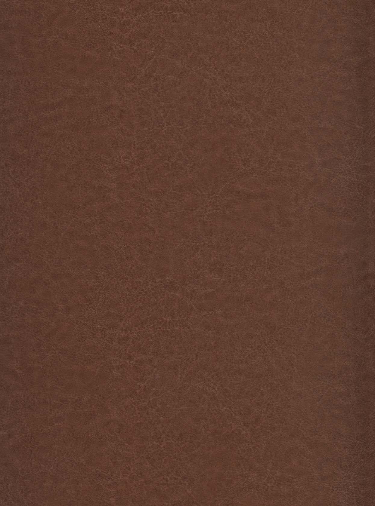 قرآن کریم (ترمو،باقاب،پلاک دار،لیزری)