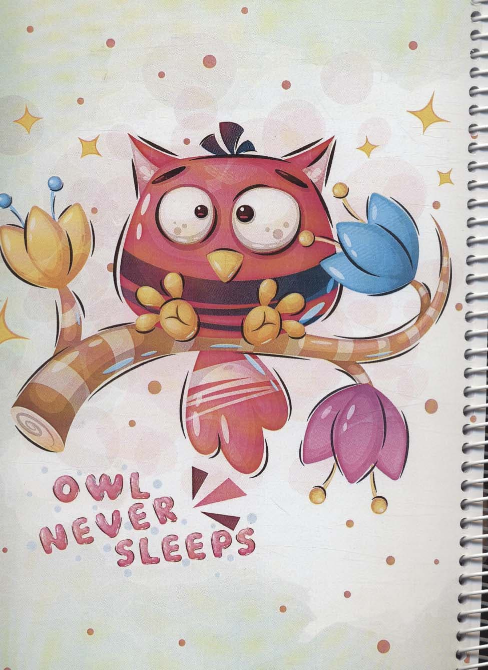 دفتر نقاشی جغد شبخوان 40برگ (کد 502)،(سیمی)