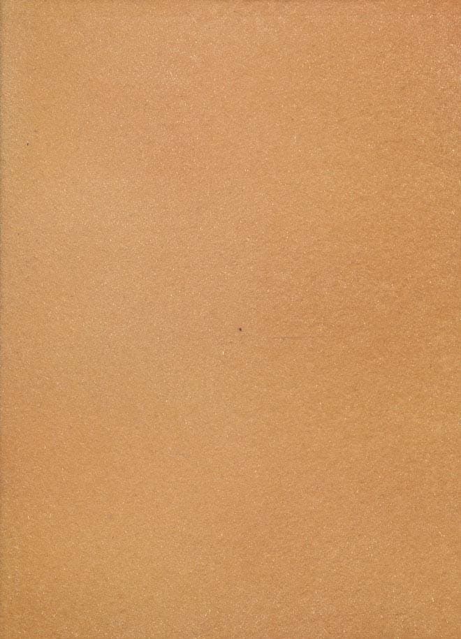 دفتر یادداشت تپکو (مخمل)،(لب طلایی)