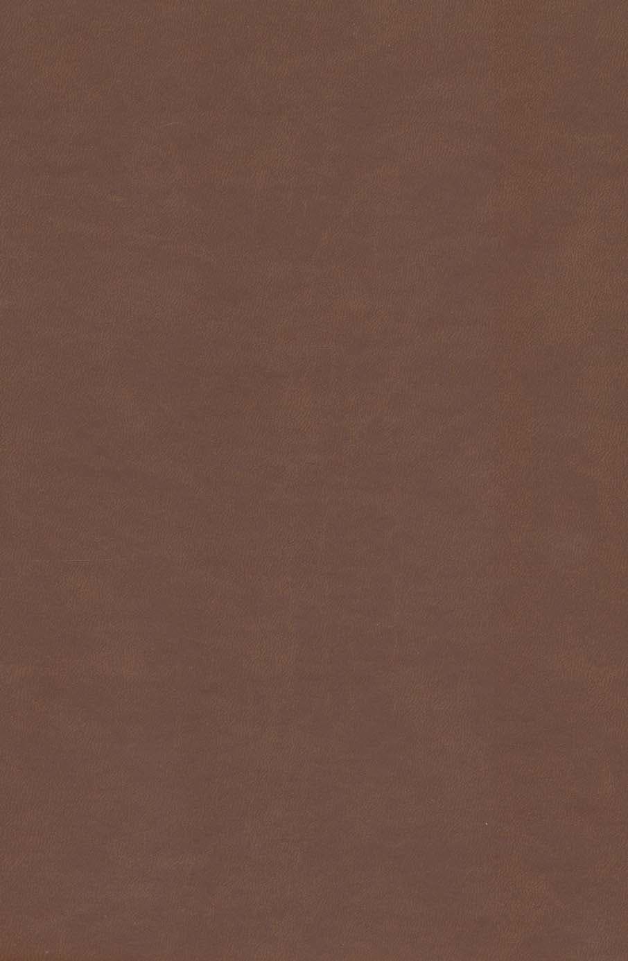 گلستان سعدی (گلاسه،چرم،پلاک دار برجسته،لیزری