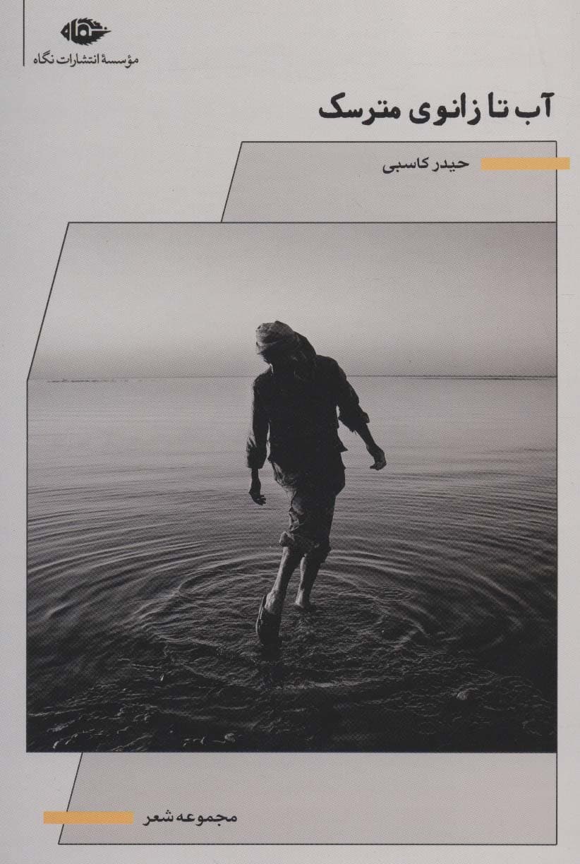 آب تا زانوی مترسک (مجموعه شعر)