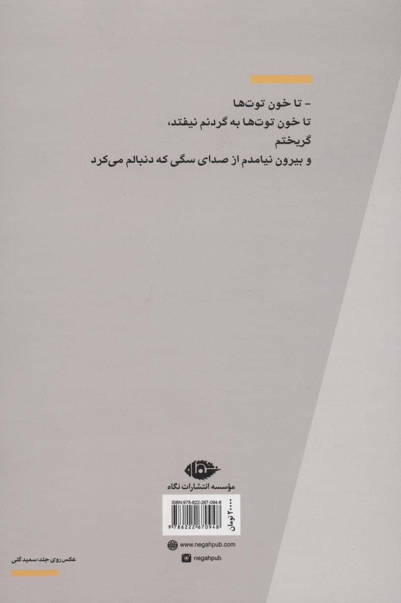 آب تا زانوی مترسک (مجموعه شعر)