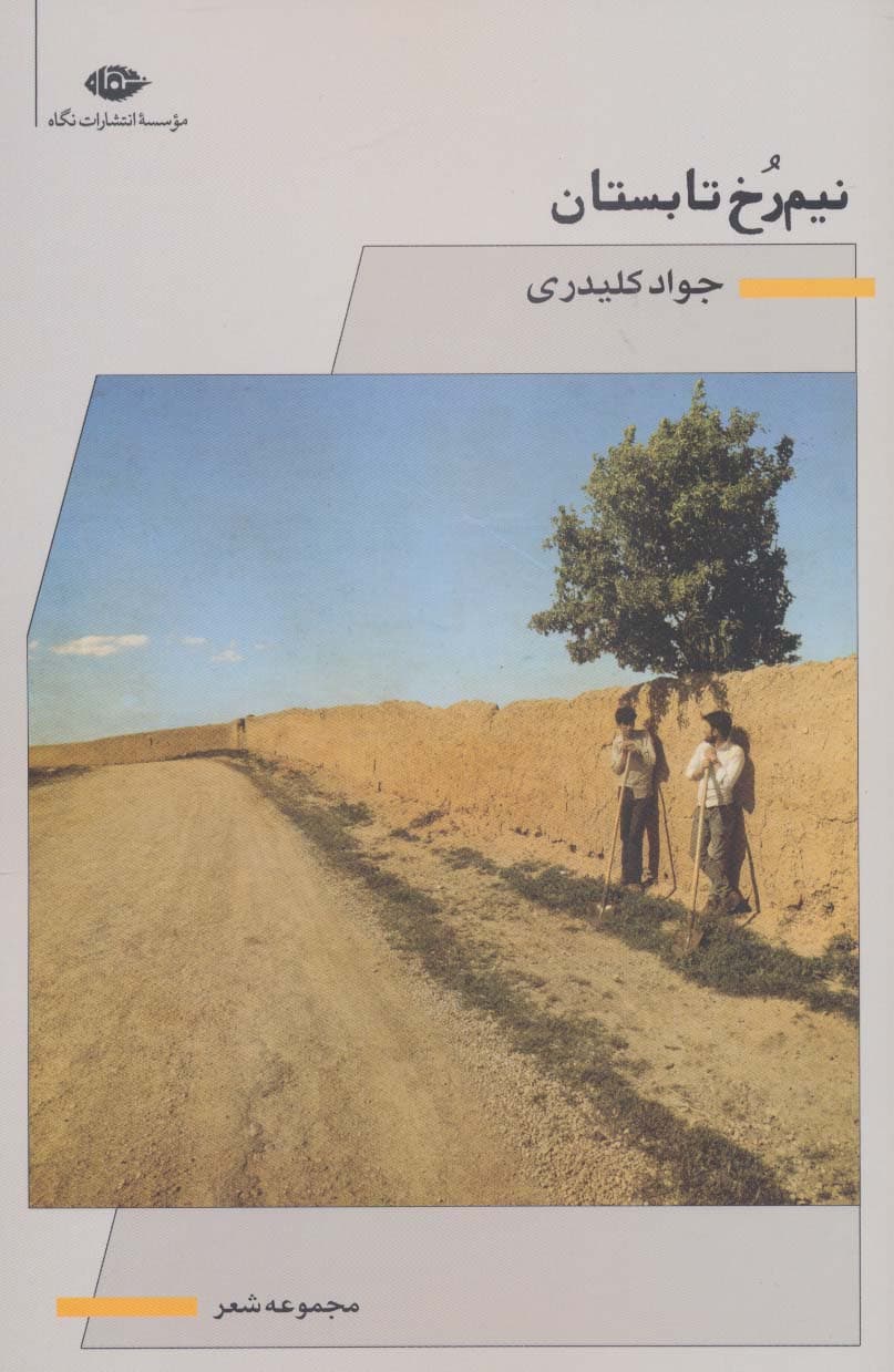 نیم رخ تابستان (مجموعه شعر)