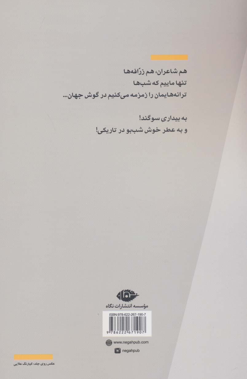 نیم رخ تابستان (مجموعه شعر)