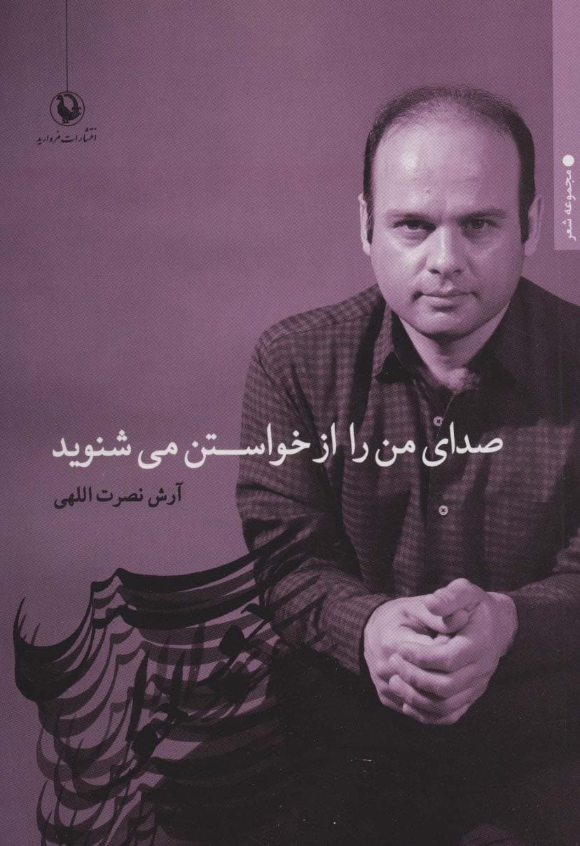 صدای من را از خواستن می شنوید (مجموعه شعر)