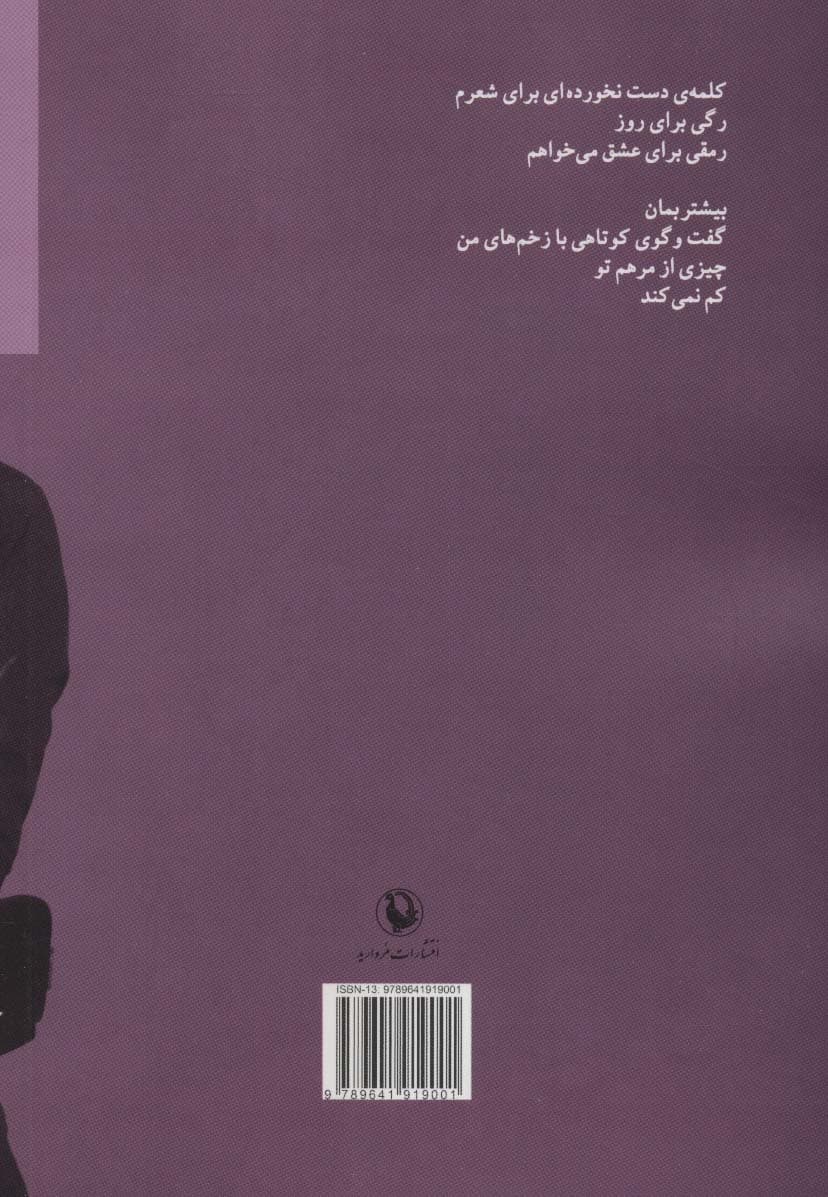 صدای من را از خواستن می شنوید (مجموعه شعر)