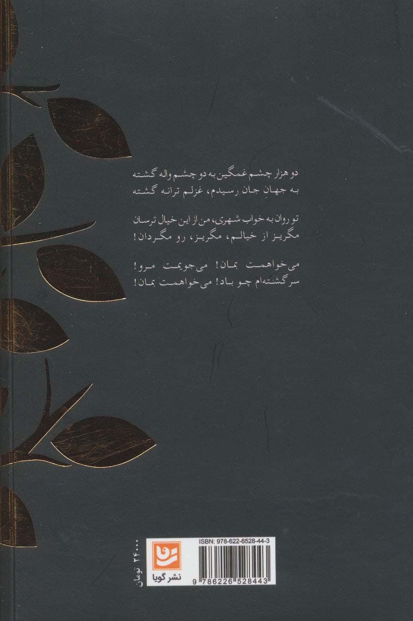 دو هزار چشم غمگین (شعر،تصنیف،ترانه)