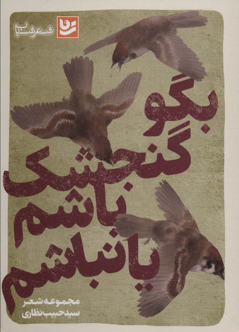 بگو گنجشک باشم یا نباشم (شعر شباب29)