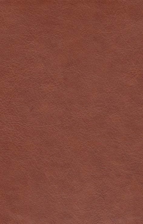 گلستان سعدی محرمی با مینیاتور (2زبانه،گلاسه،باقاب،چرم،لب طلایی)