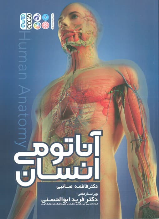 آناتومی انسان