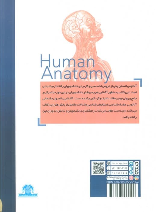 آناتومی انسان