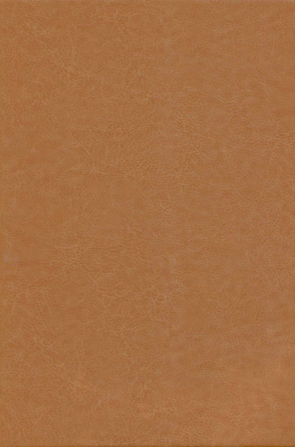 کلیات سعدی (باقاب،چرم