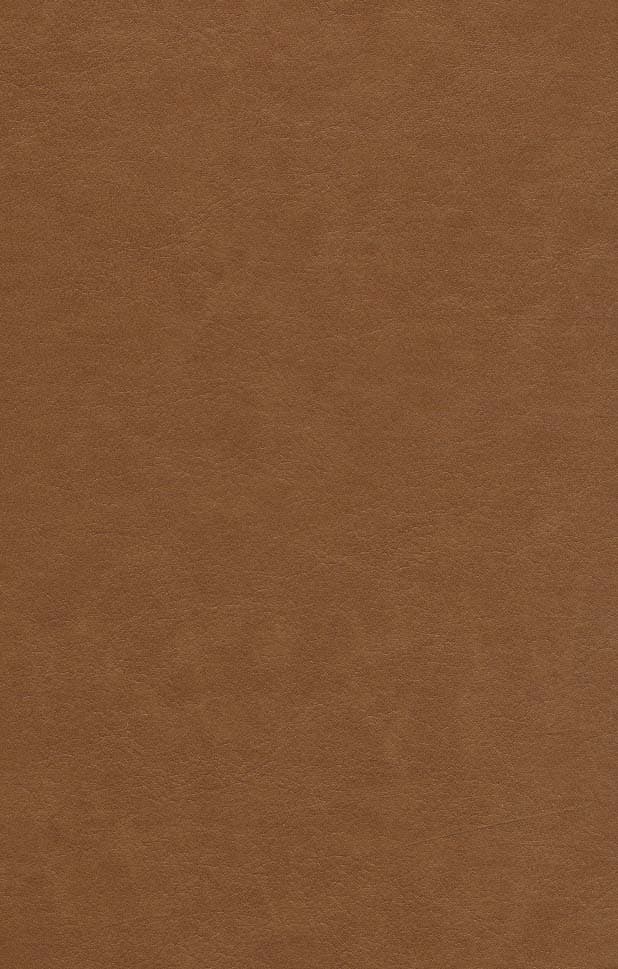 کلیات سعدی آسان خوان (چرم)