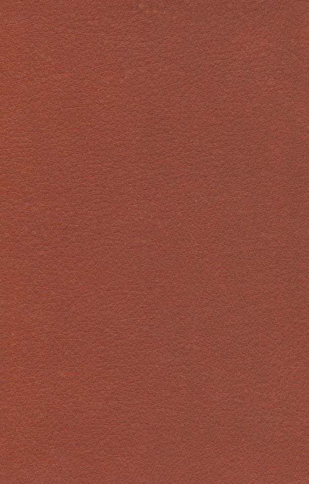 جاناتان مرغ دریایی (چرم،لب طلایی)