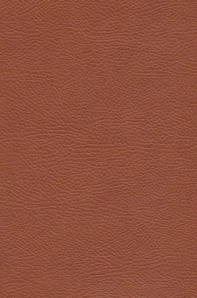 جین ایر (چرم،لب طلایی)