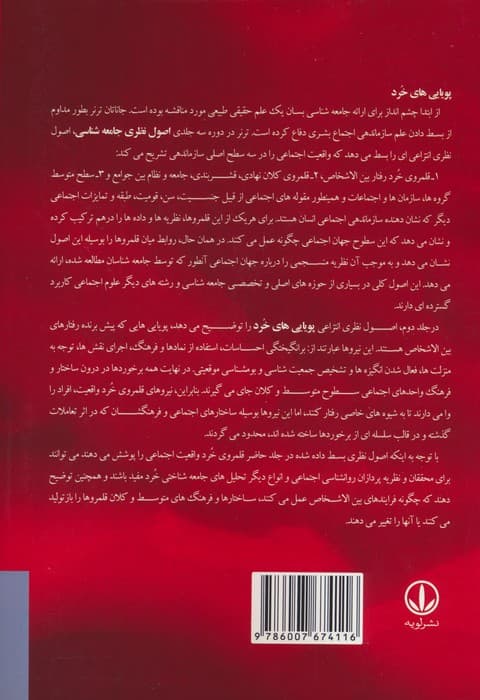 اصول نظری جامعه شناسی 2 (پویایی های خرد)