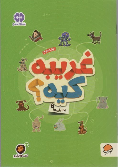 غریبه کیه؟:تحلیلی ها (کتاب های گردو23)