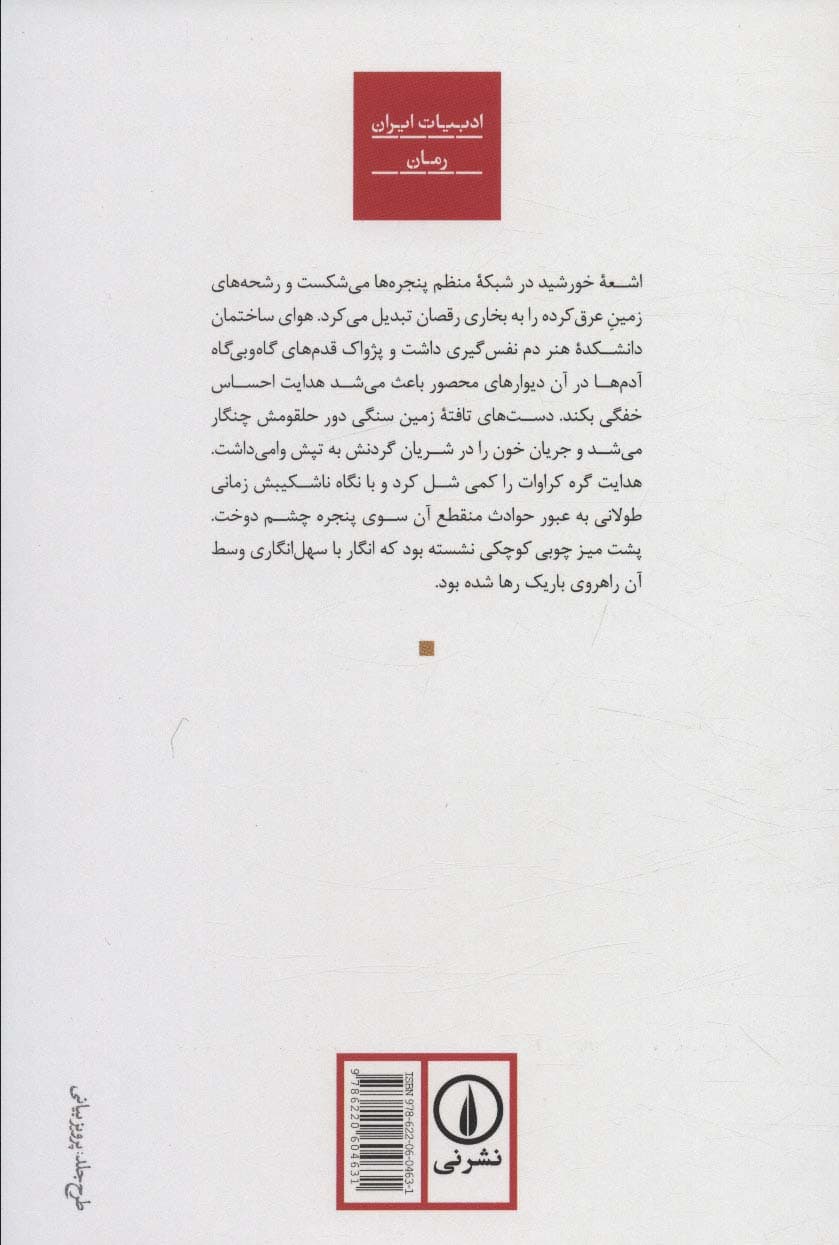 مصائب آقای ه