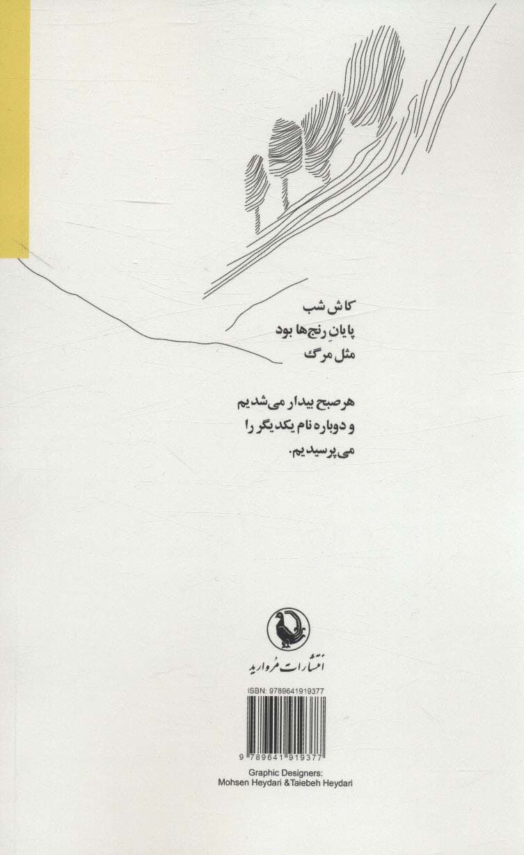 فکر می کنم تو را فراموش کرده ام (مجموعه شعر سپید)