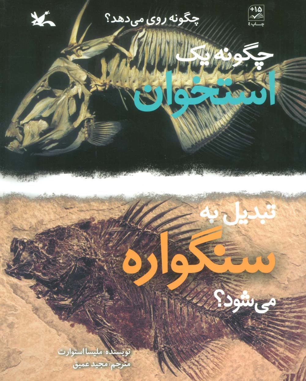 چگونه 1 استخوان تبدیل به سنگواره می شود؟ (گلاسه)